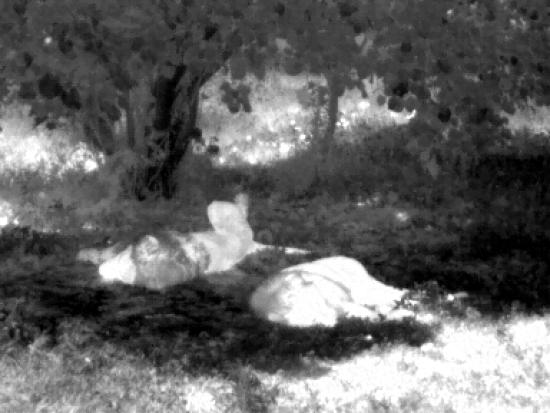 UTx210W UNI-T Anwendung 5