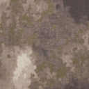 HDT-Camo