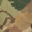 MITCHELL CAMO LEAF / MITCHELL CAMO CLOUDS