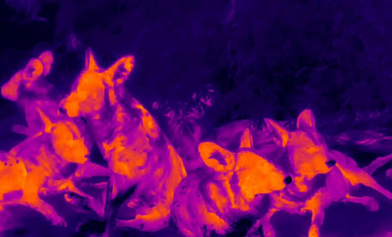 UTx210W UNI-T Anwendung 6