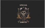 Flagge US Special Forces (150 x 90 cm)